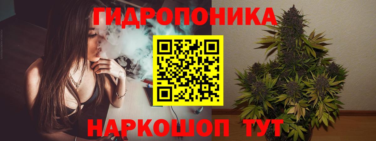 Шишки марихуана сатива  Марихуана Amnesia  Будённовск  Вход с VPN 